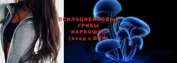 крисы Санкт-Петербург